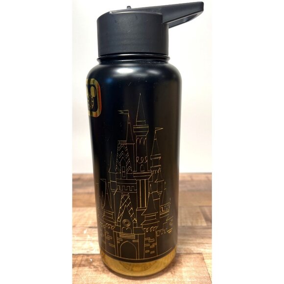 Disney Magic Castle Water Bottle Wide Mouth Stainless Steel Insulated Tumbler Lg - Picture 1 of 8